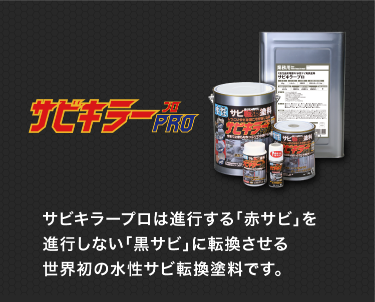 BAN-ZI サビキラー プロ GUNBLACK 200g 錆止め サビ サビ止め 水性塗料 サビ転換 防サビ 上塗り塗料 速乾 通販 